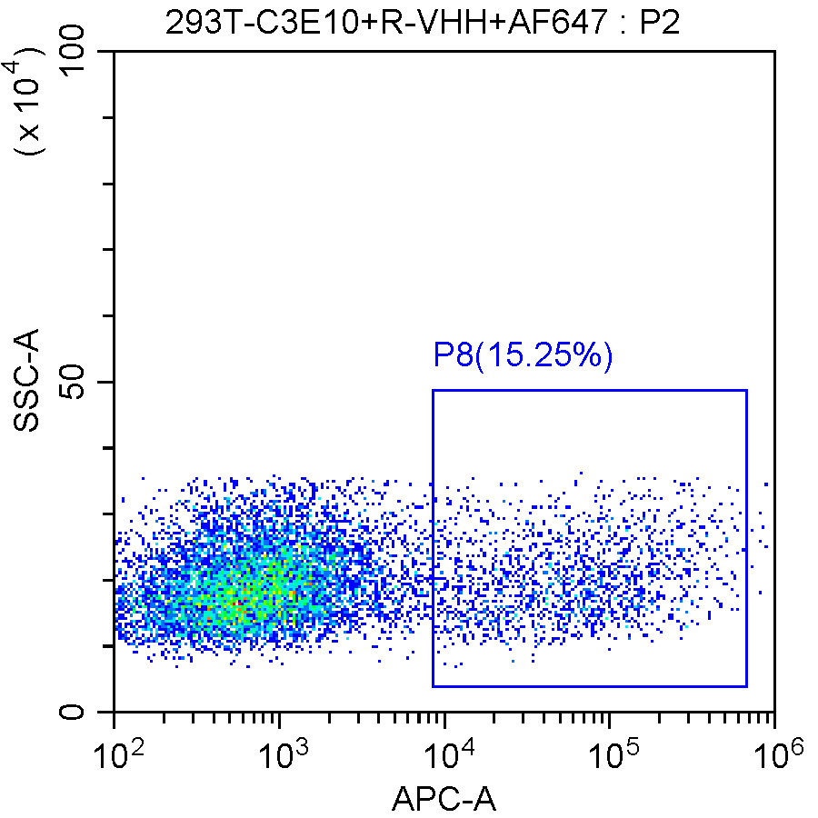 VHH1 Anti-VHH Company G