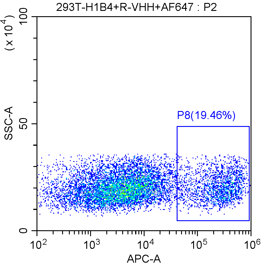 VHH2 Anti-VHH Company G