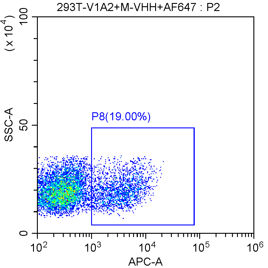 VHH3 GMLS-Tag002-Ab01